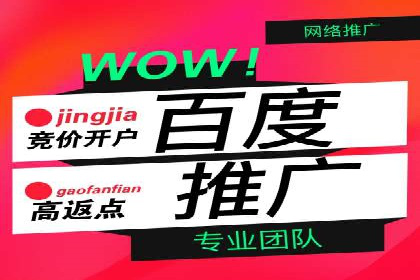 百度推广中的创意策略：成功案例解析与启示